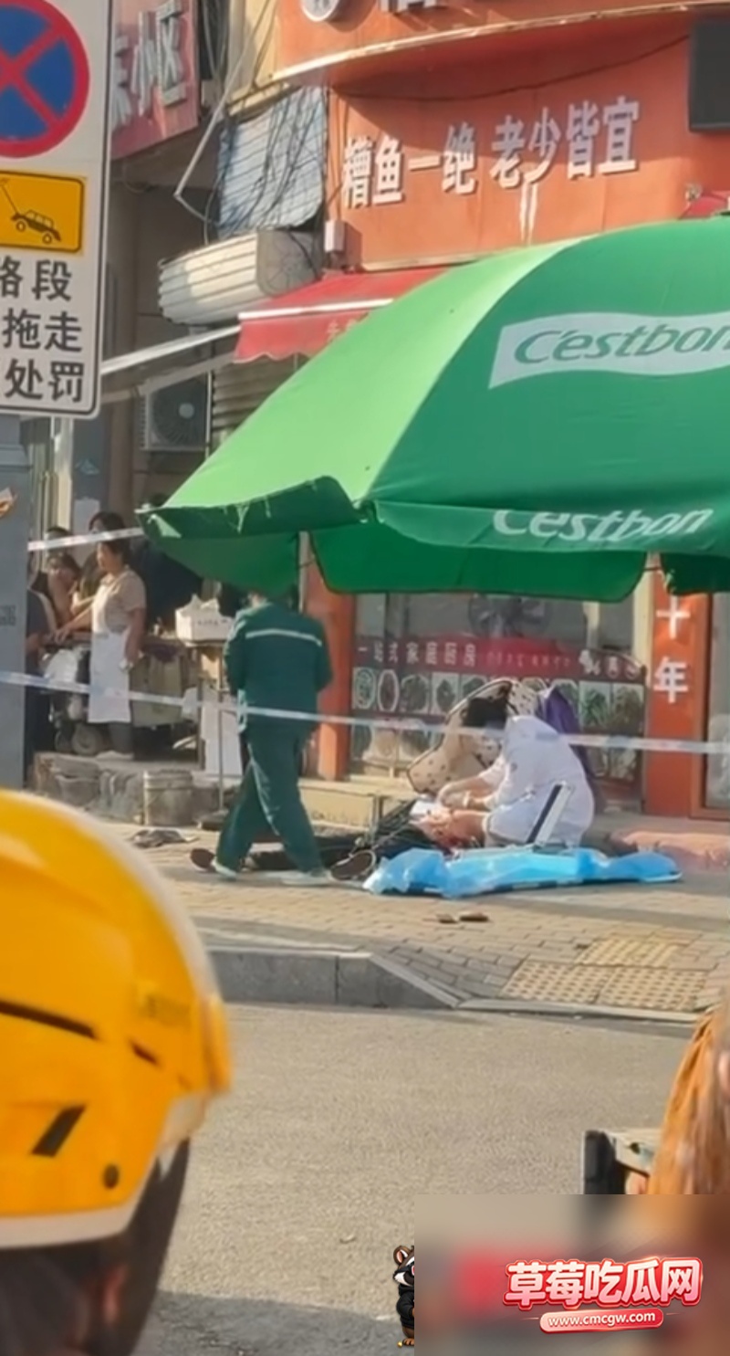 山东成武当街杀人案8 山东成武当街杀人案8