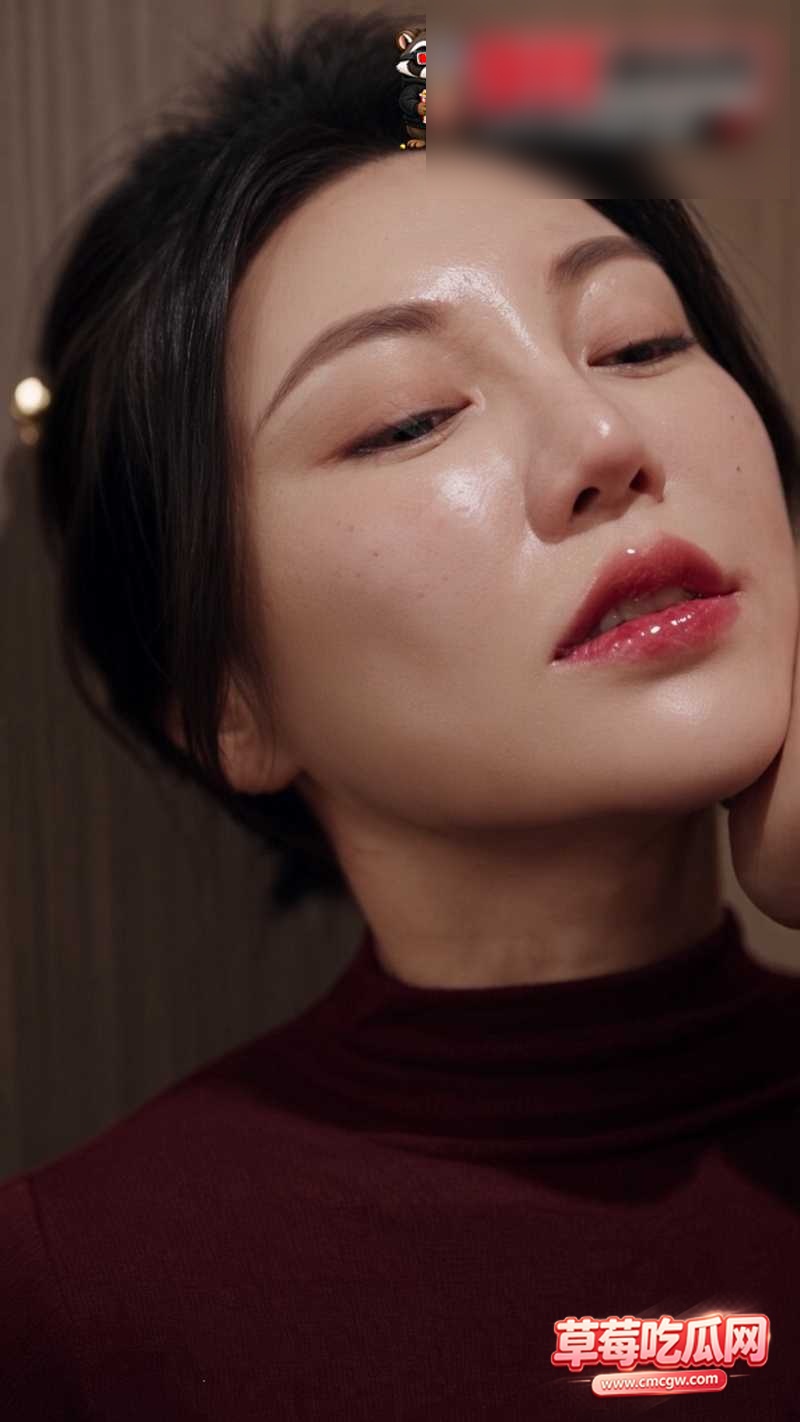 债务偿还系统 2 债务偿还系统 2
