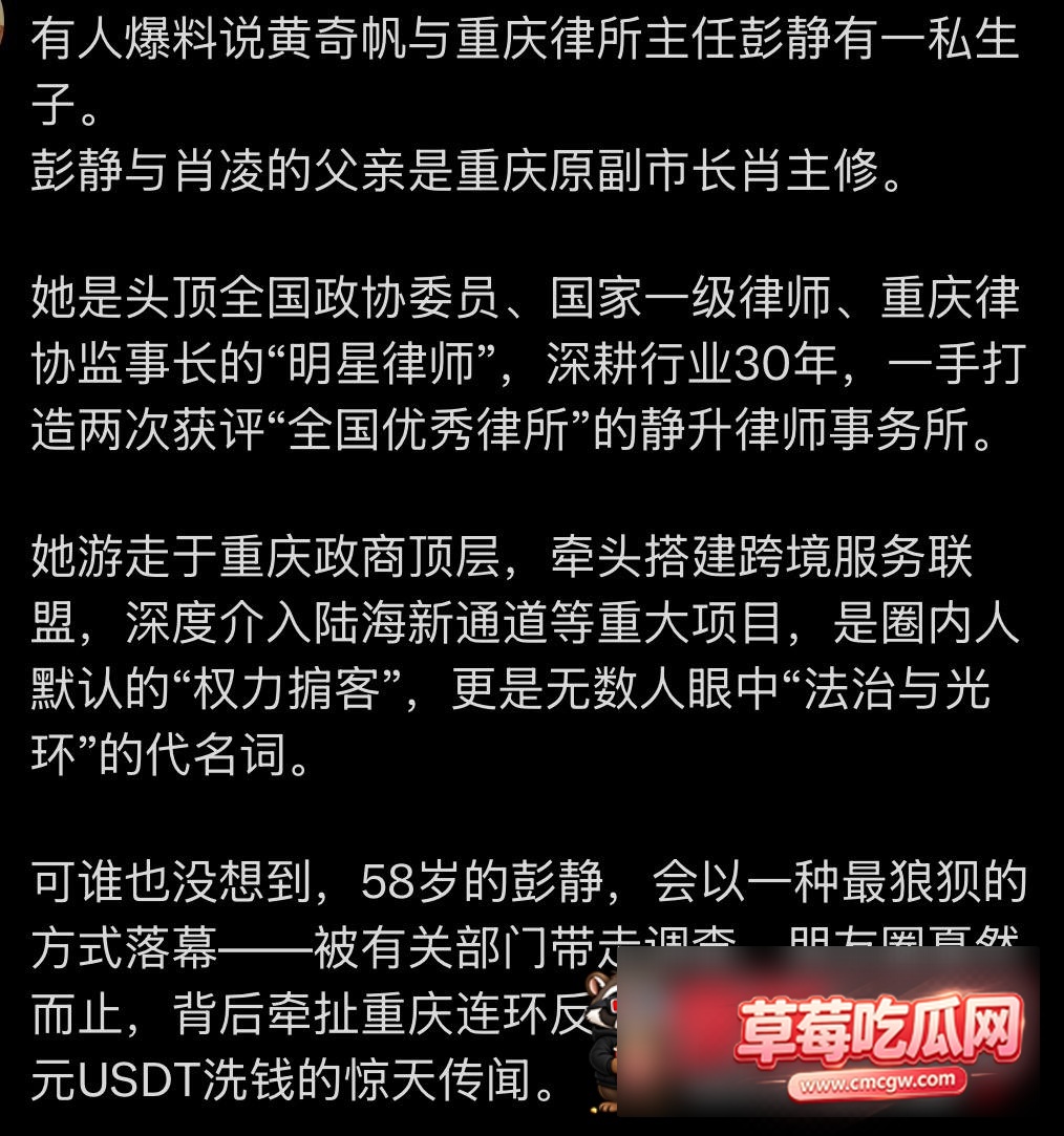 黄奇帆22 黄奇帆22
