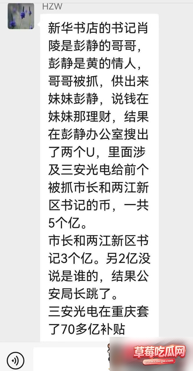 黄奇帆38 黄奇帆38