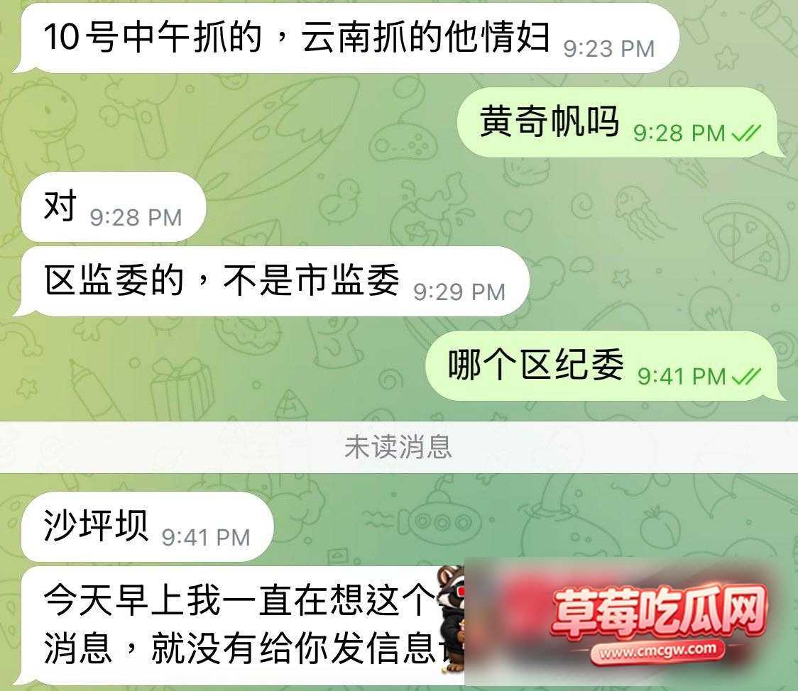 黄奇帆39 黄奇帆39