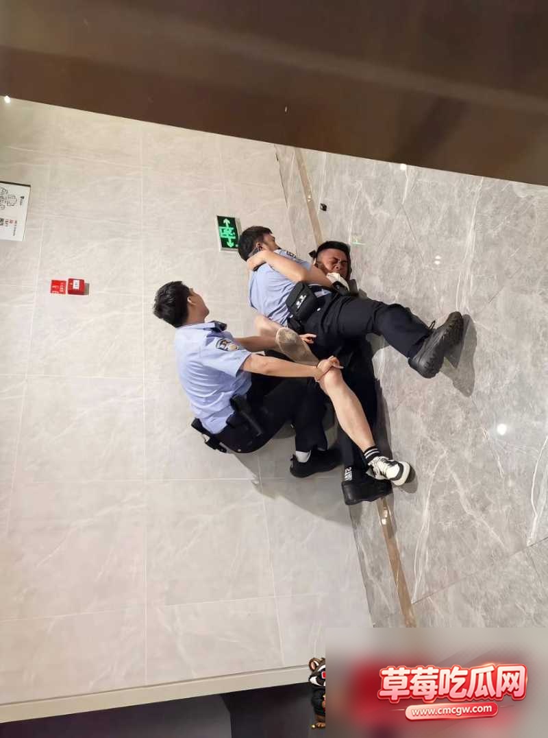 孟庆泽 13 孟庆泽 13