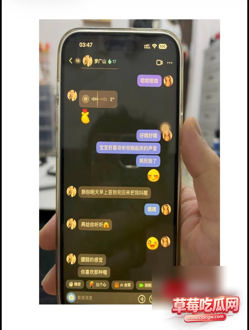 1 4W800px 1 4W800px