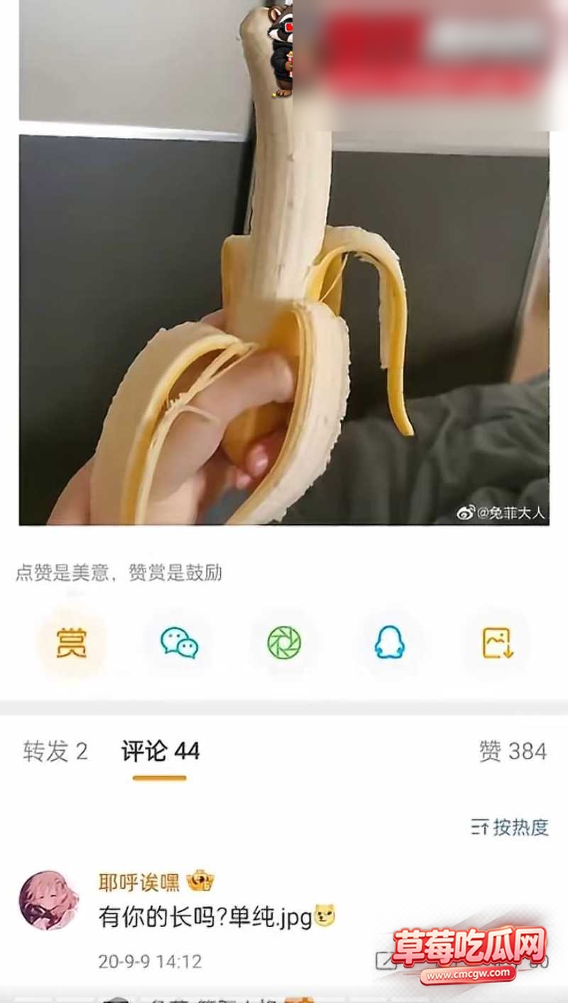 兔菲 33 兔菲 33