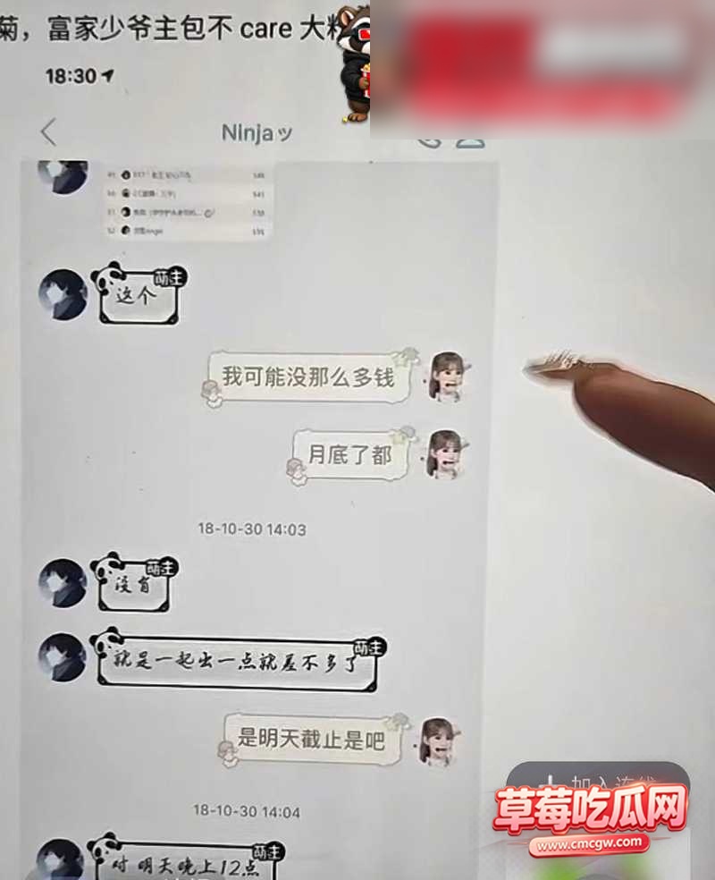 兔菲 9 兔菲 9