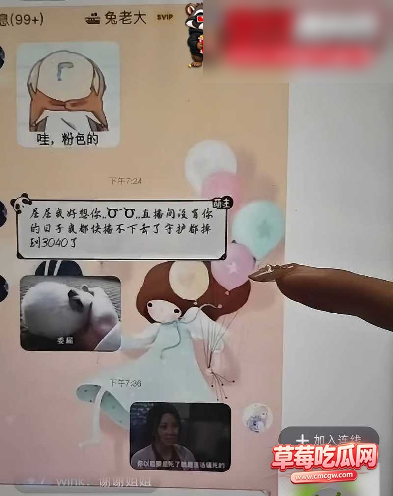 兔菲 11 兔菲 11