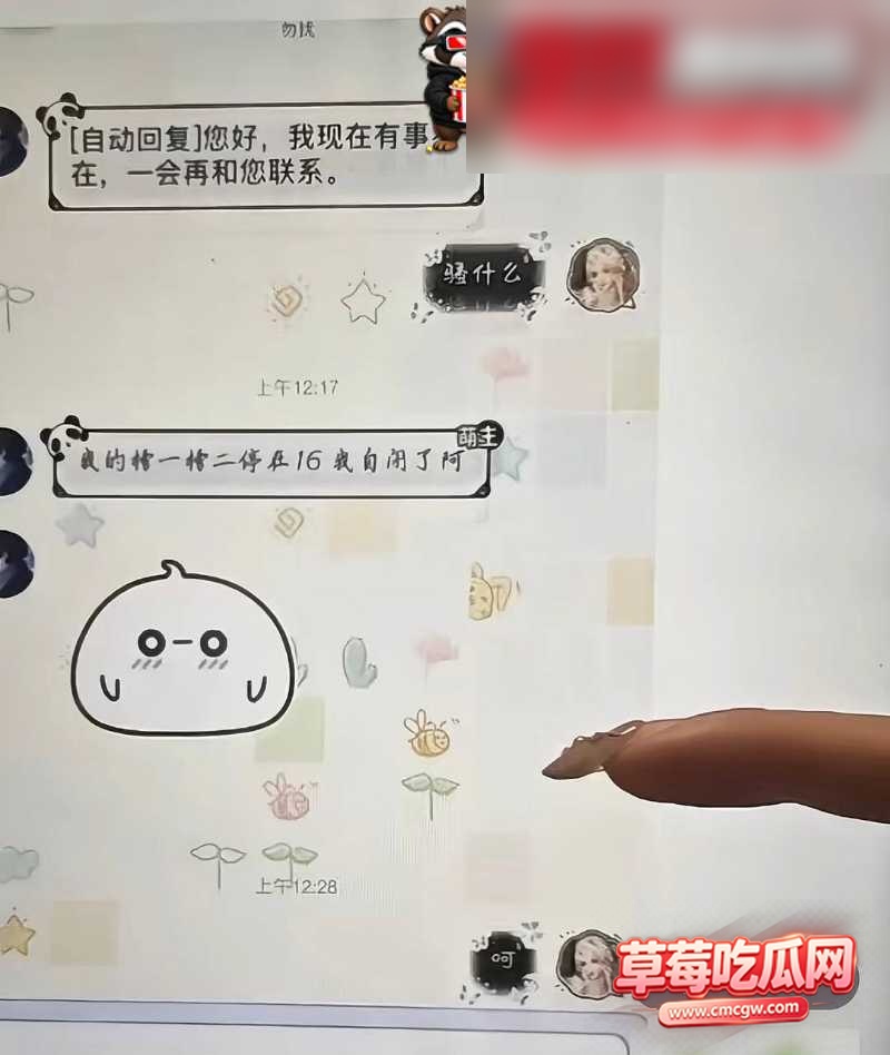 兔菲 13 兔菲 13