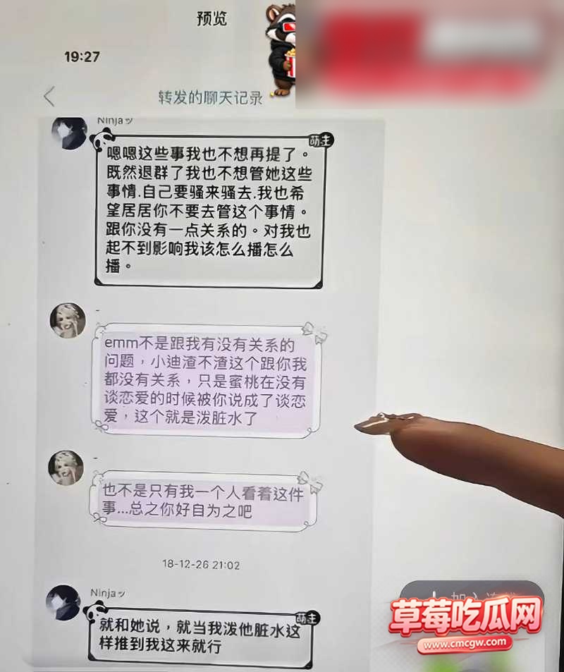 兔菲 16 兔菲 16