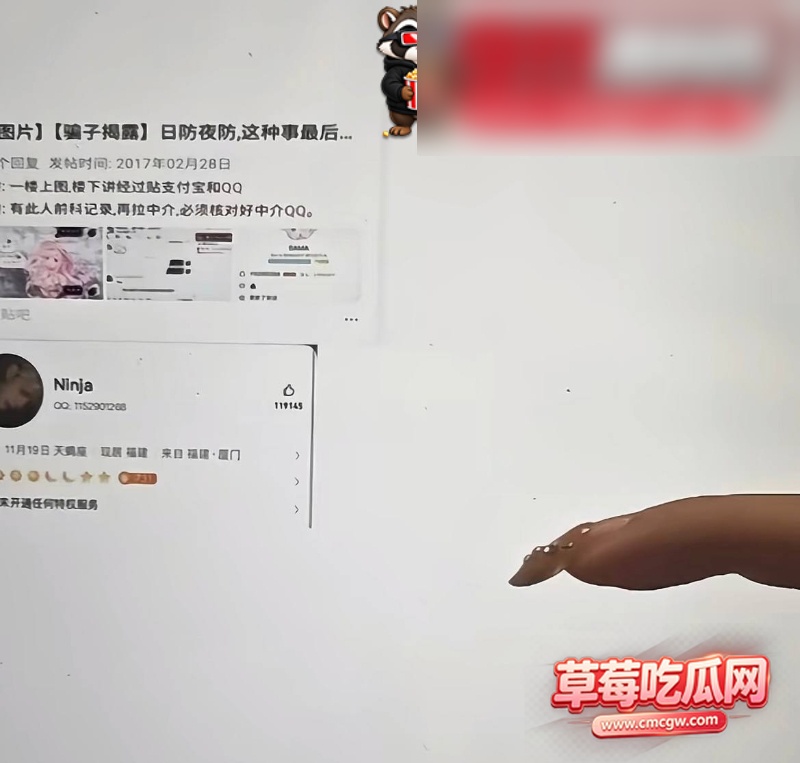 兔菲 19 兔菲 19