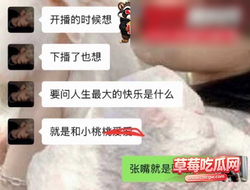兔菲 22 兔菲 22