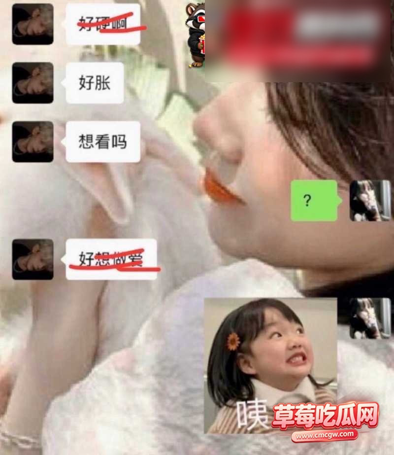 兔菲 23 兔菲 23