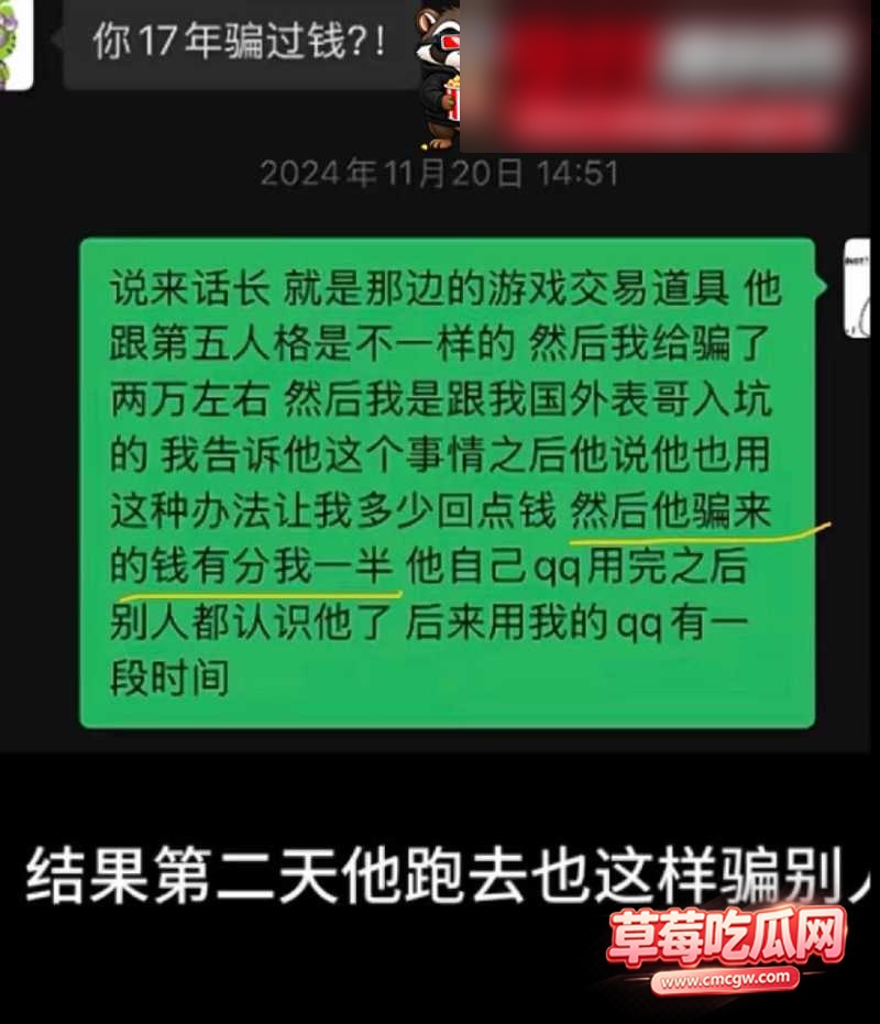 兔菲 31 兔菲 31