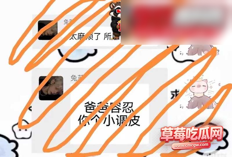 兔菲 36 兔菲 36