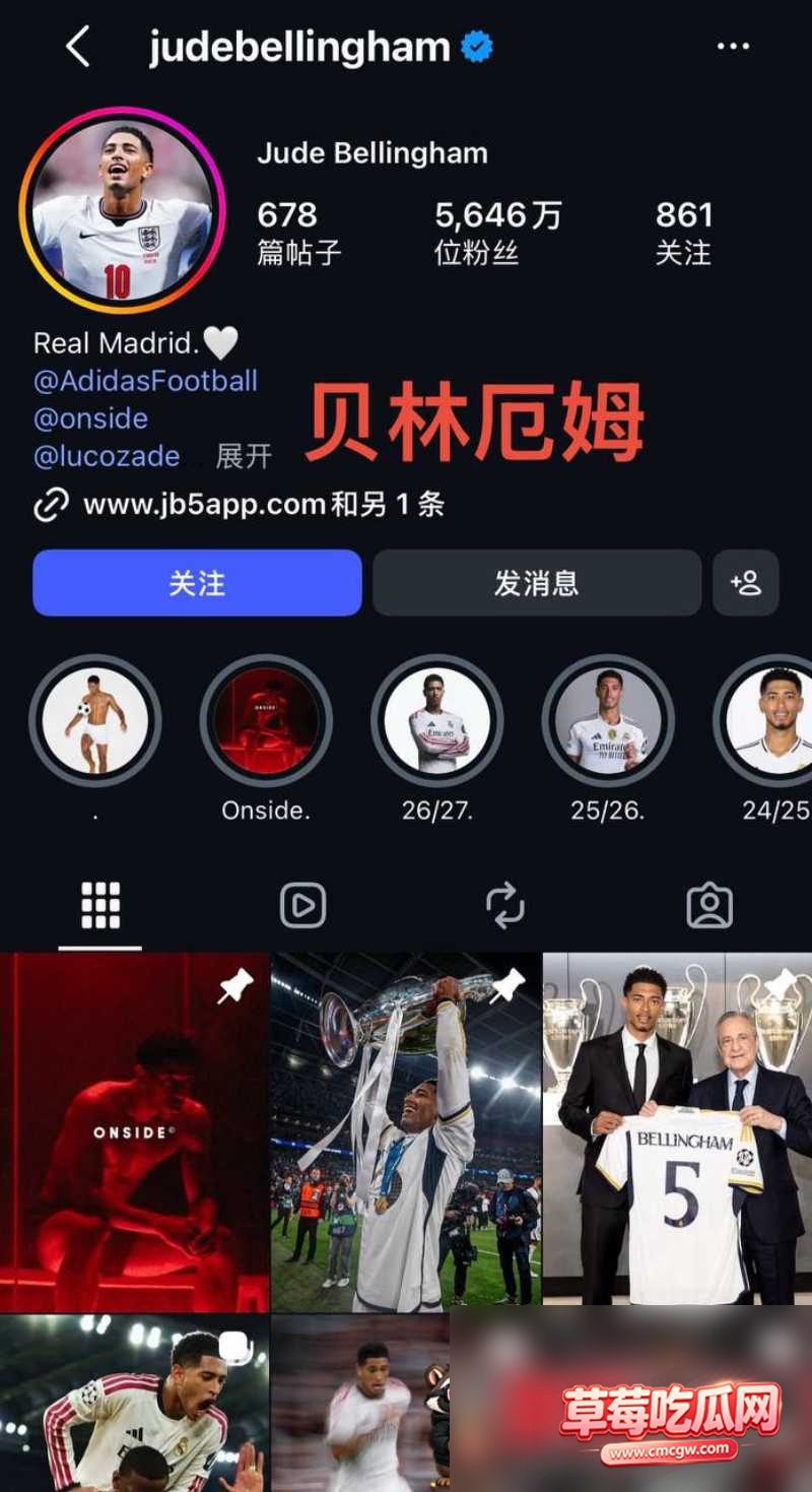 贝林厄姆19 贝林厄姆19