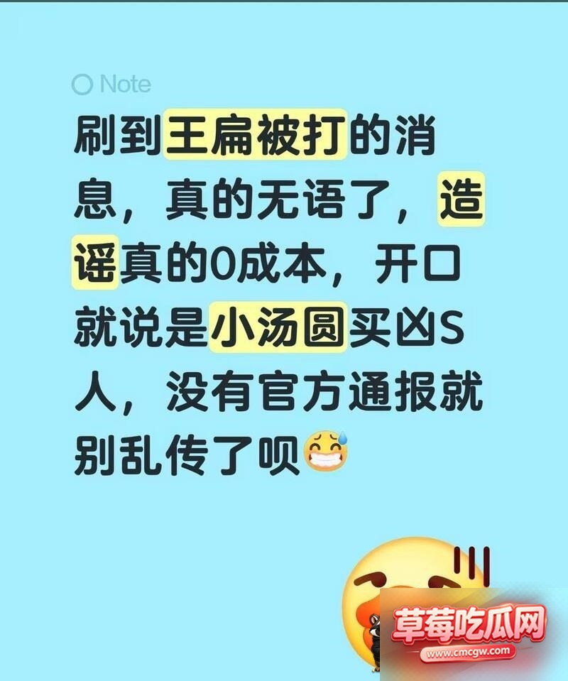 模仿王源网红王扁摆摊遭人殴打 9 模仿王源网红王扁摆摊遭人殴打 9