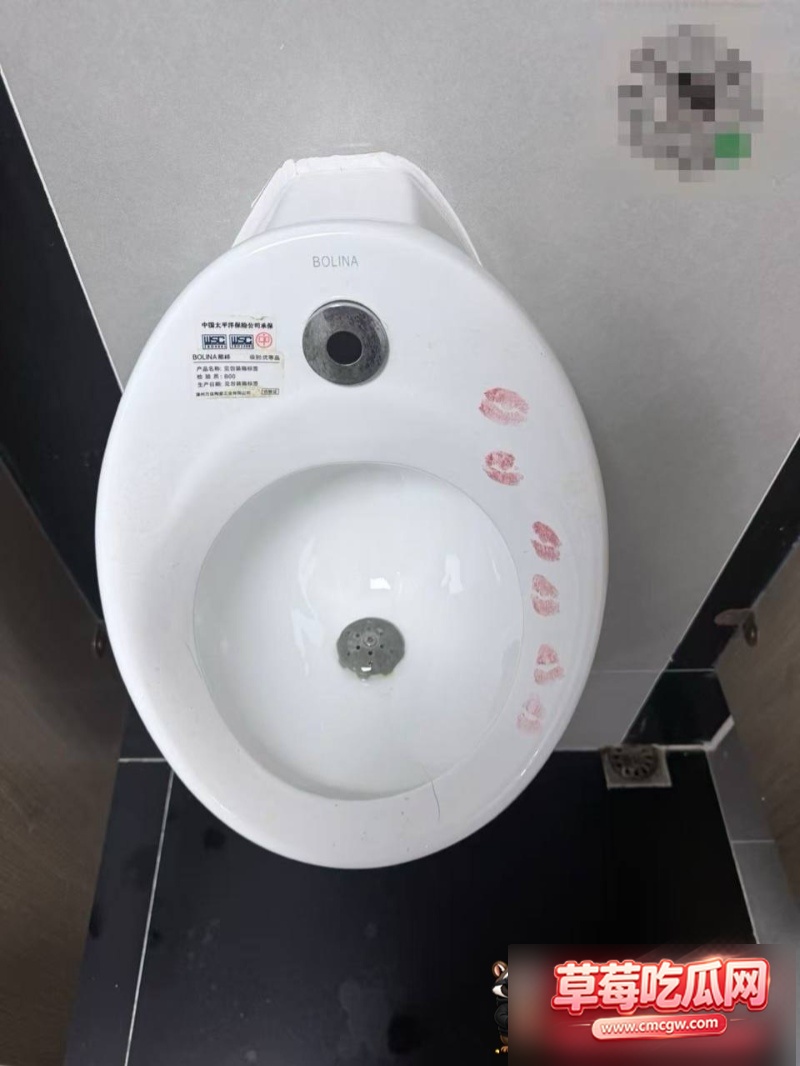 03年小母狗被主人发布任务 5