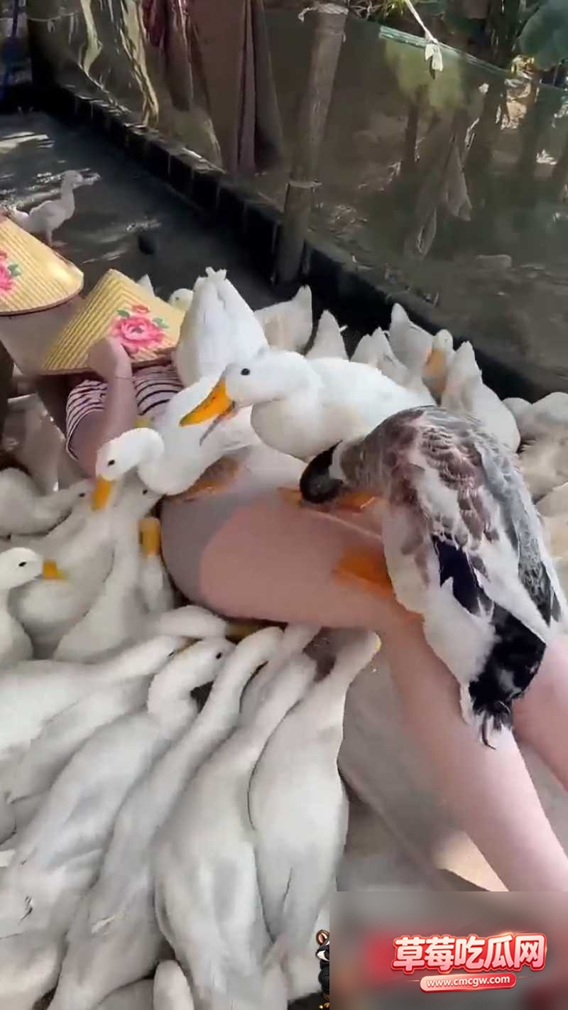 吃瓜5 吃瓜5