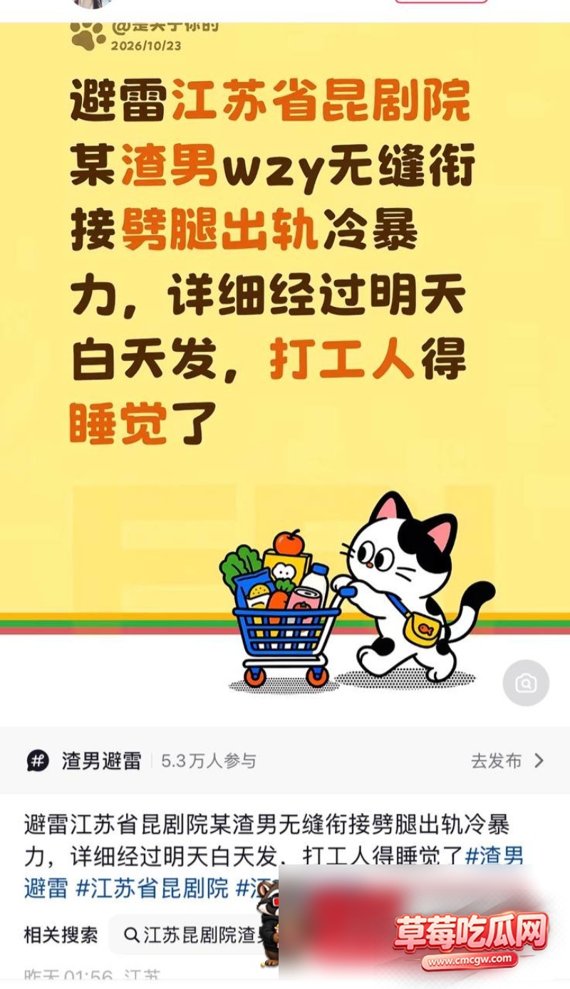 王振宇丑闻事件10