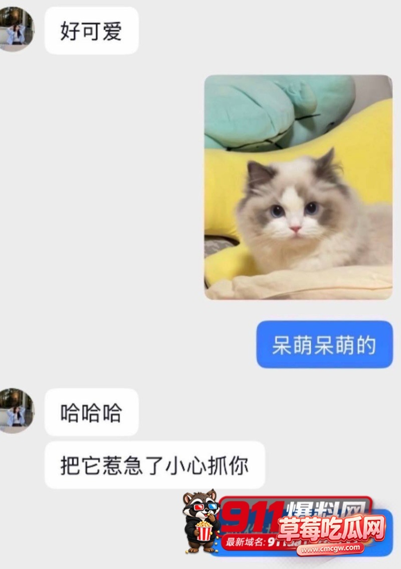 王振宇丑闻事件21