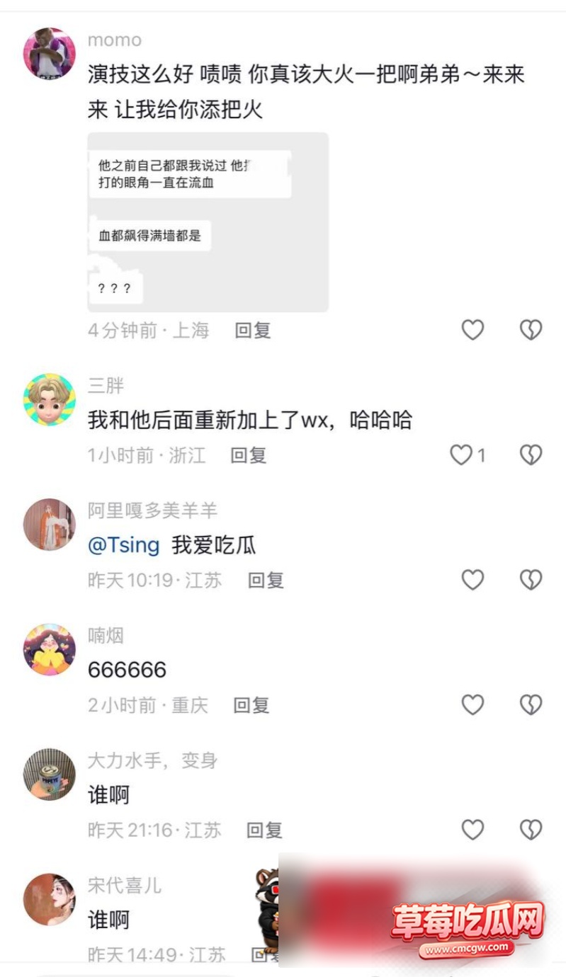 王振宇丑闻事件28