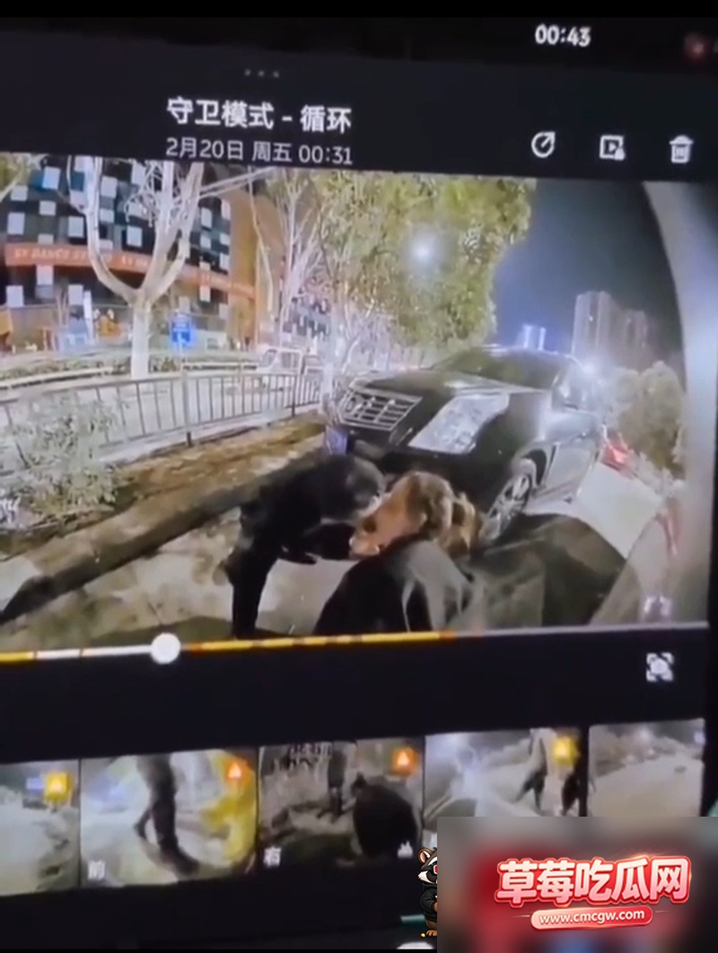 监控前秀恩爱撒尿还得亲嘴 14 监控前秀恩爱撒尿还得亲嘴 14
